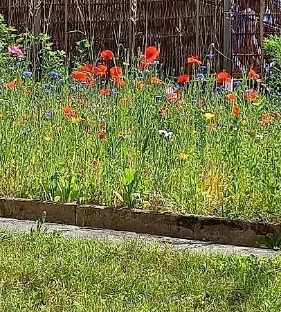 Ferienwohnung Jarenatanne Stockach