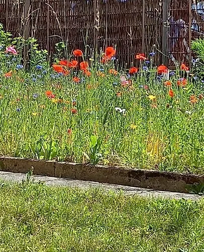Ferienwohnung Jarenatanne Stockach